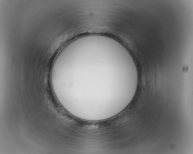 X0000113100687200908280952