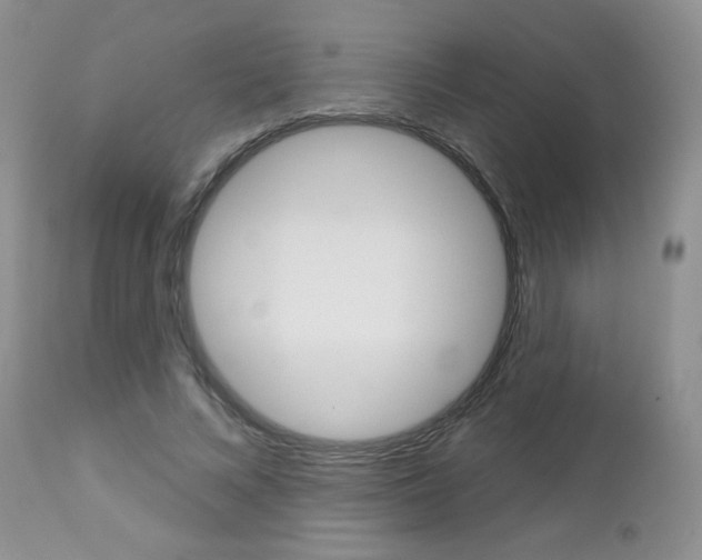 X0000113100688200908280952