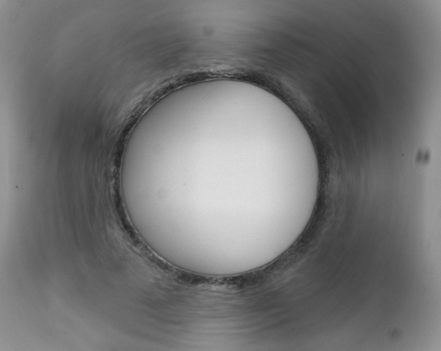 X0000113100689200908280952
