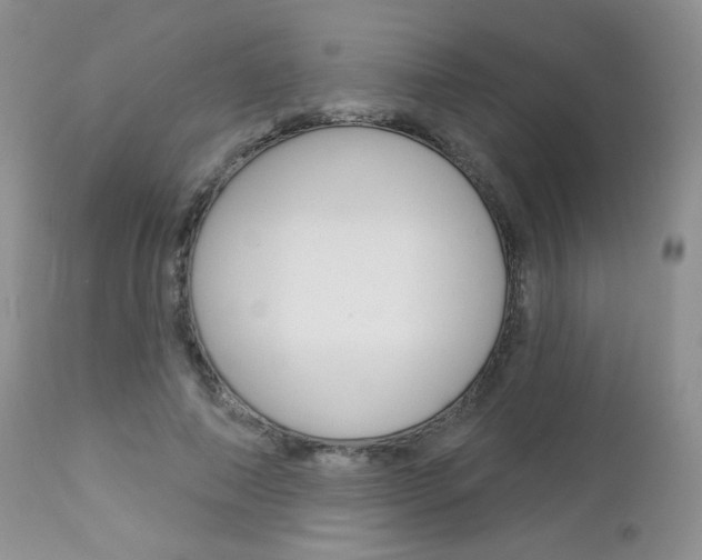 X0000113100690200908280952