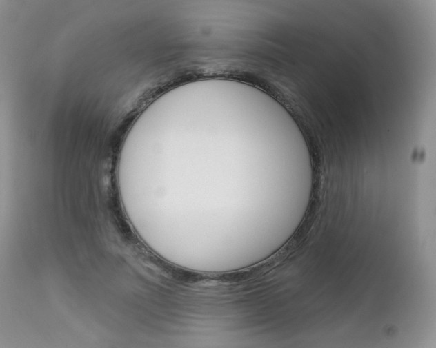 X0000113100691200908280952