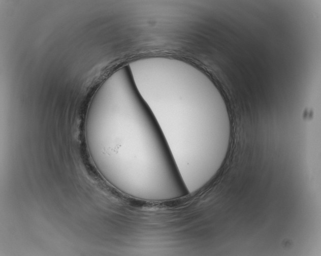 X0000113100693200908280952