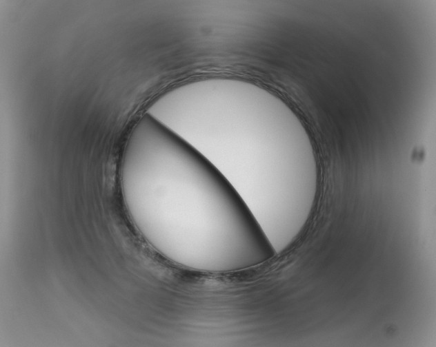 X0000113100697200908280952