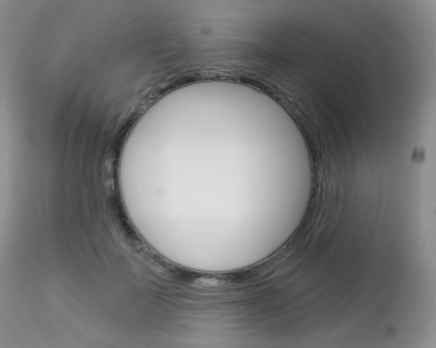X0000113100699200908280952