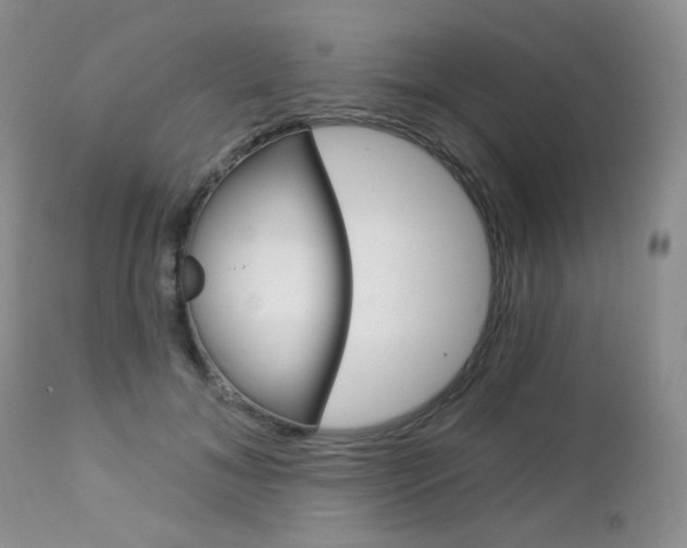 X0000113100700200908280952