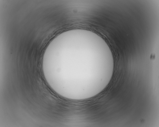 X0000113100701200908280952