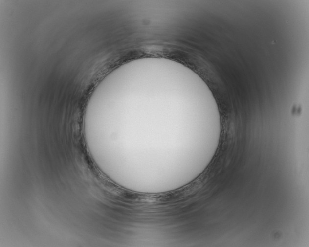 X0000113100702200908280952