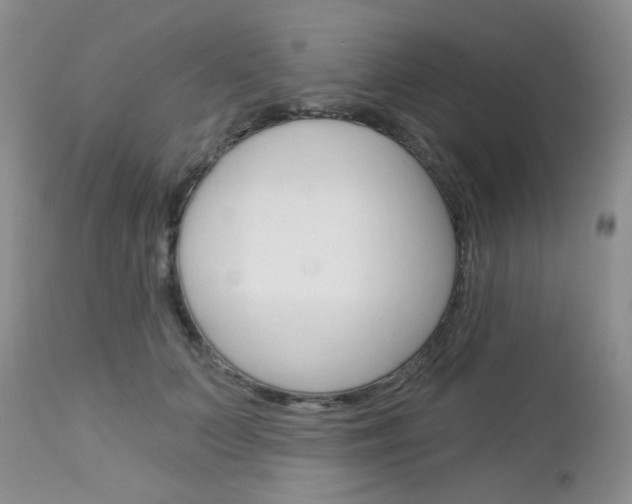 X0000113100703200908280952
