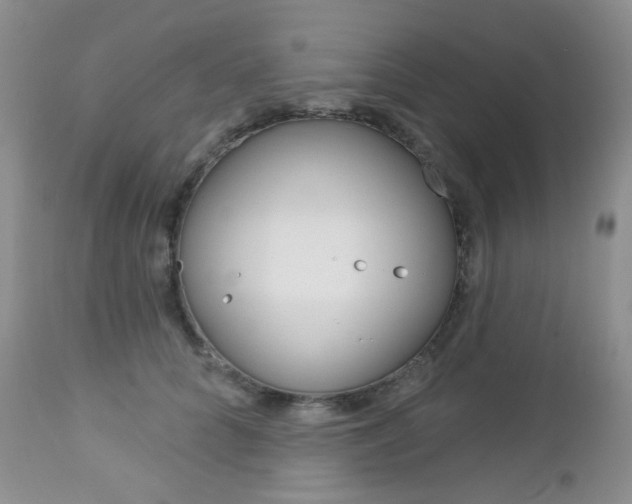 X0000113100704200908280952