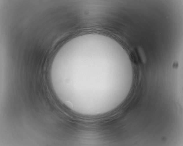 X0000113100705200908280952