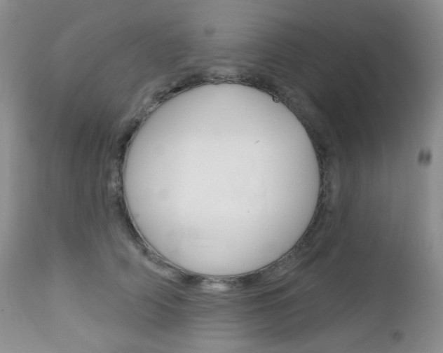 X0000113100706200908280952