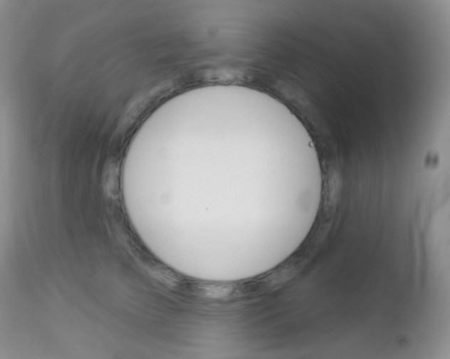 X0000113100709200908280952
