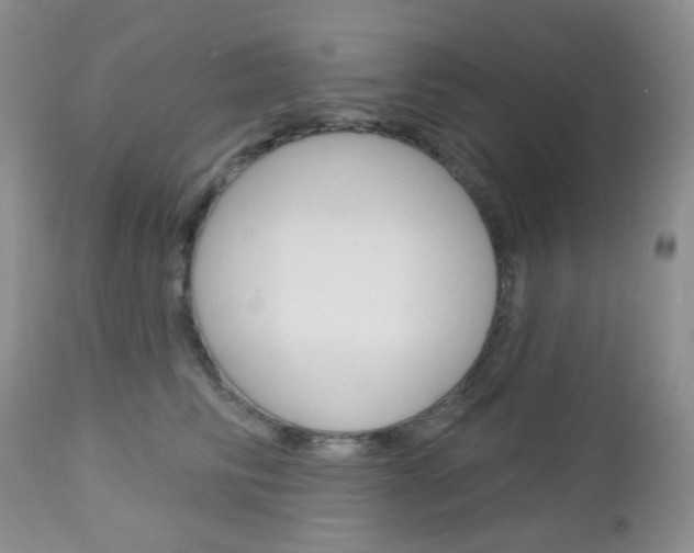 X0000113100710200908280952