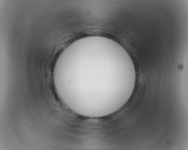 X0000113100711200908280952