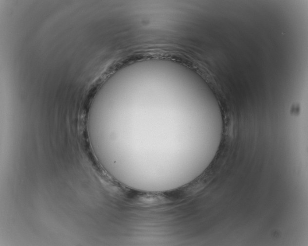 X0000113100712200908280952