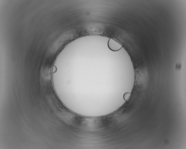 X0000113100713200908280952