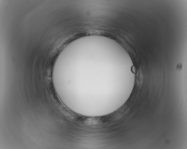 X0000113100714200908280952