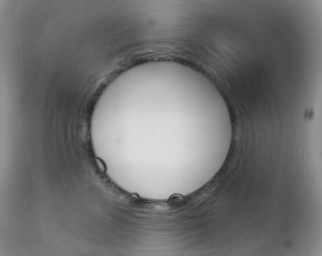 X0000113100715200908280952