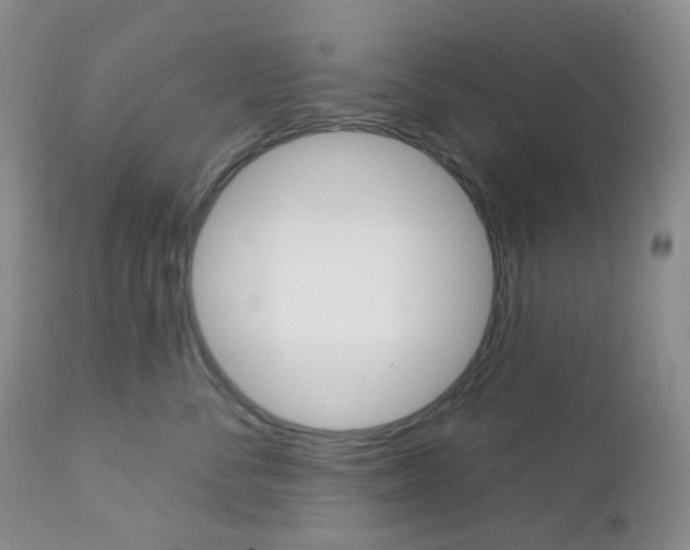 X0000113100716200908280952