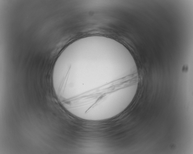 X0000113100717200908280952