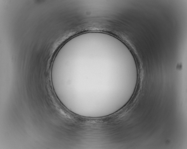 X0000113100721200908280951