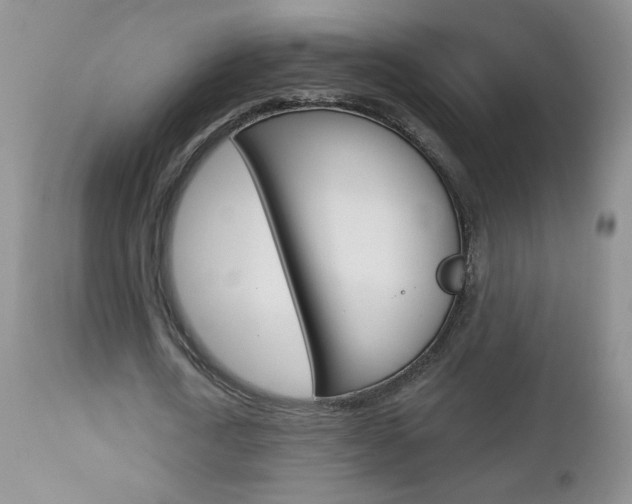 X0000113100722200908280951