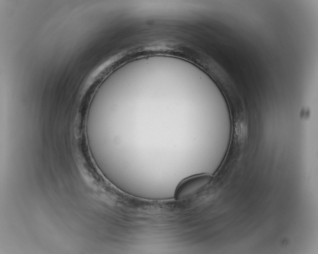X0000113100724200908280951
