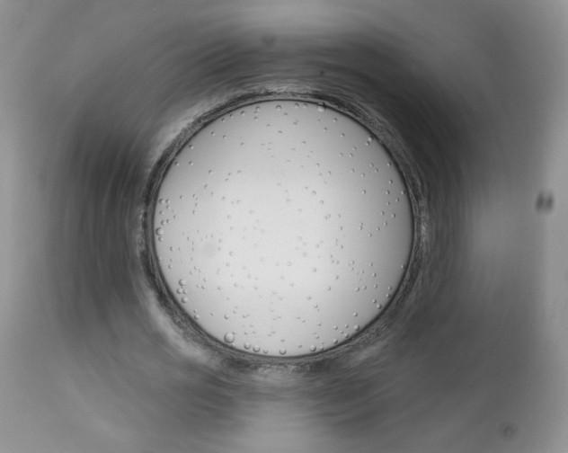X0000113100725200908280951