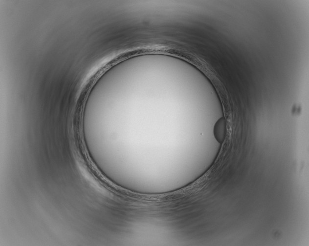 X0000113100726200908280951