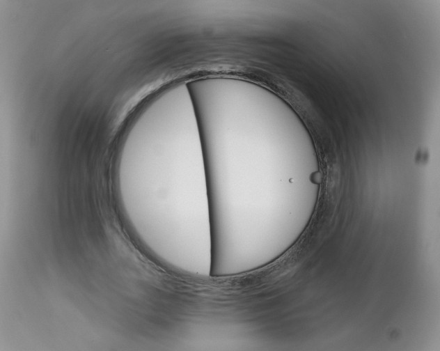 X0000113100727200908280951