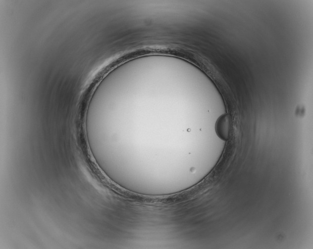 X0000113100728200908280951