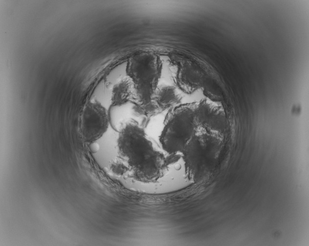 X0000113100729200908280951