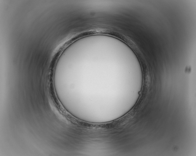 X0000113100730200908280951
