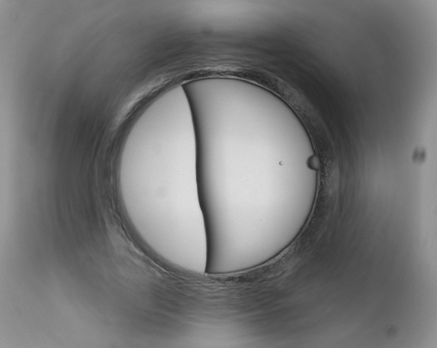 X0000113100731200908280951