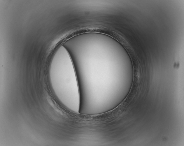 X0000113100732200908280951