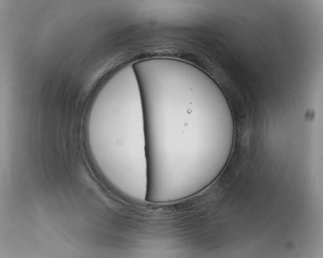 X0000113100735200908280951