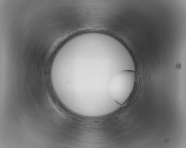 X0000113100736200908280951