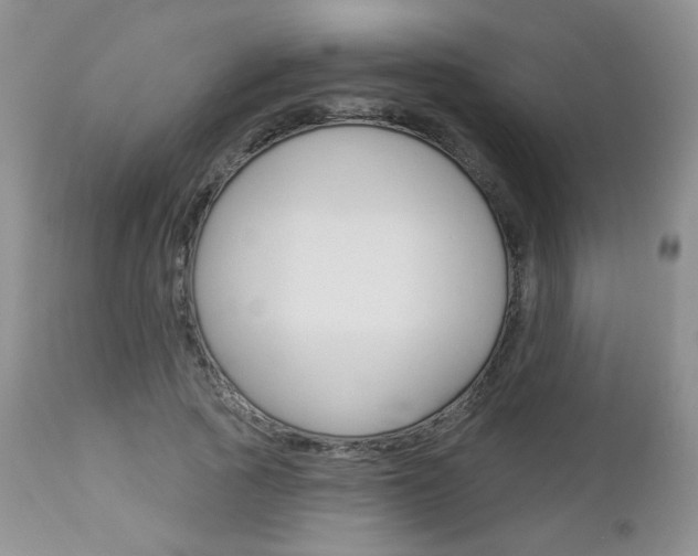 X0000113100737200908280951