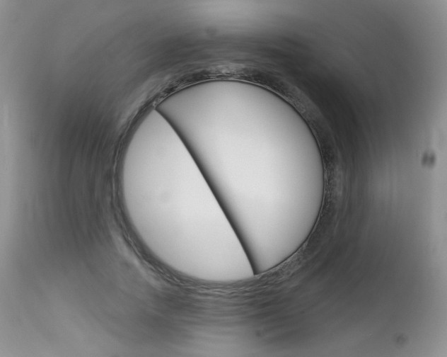 X0000113100738200908280951