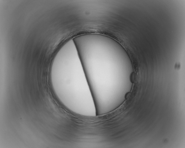 X0000113100739200908280951