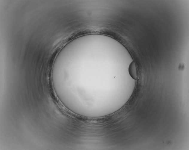 X0000113100740200908280951