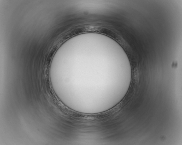 X0000113100741200908280951