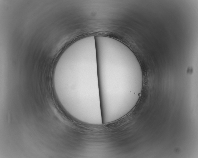 X0000113100742200908280951