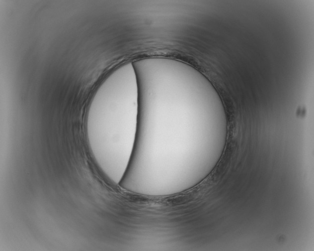 X0000113100743200908280951