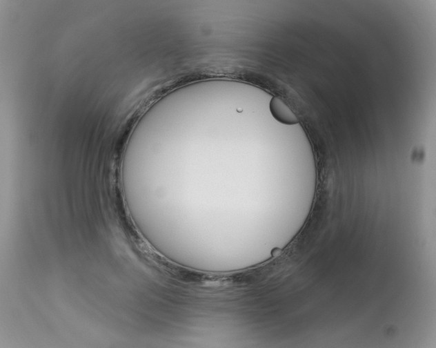 X0000113100744200908280951