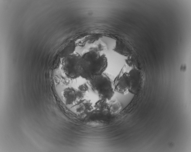 X0000113100745200908280951
