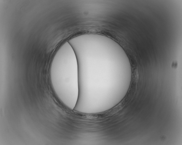 X0000113100746200908280951
