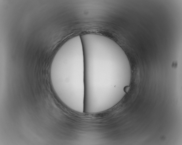 X0000113100747200908280951