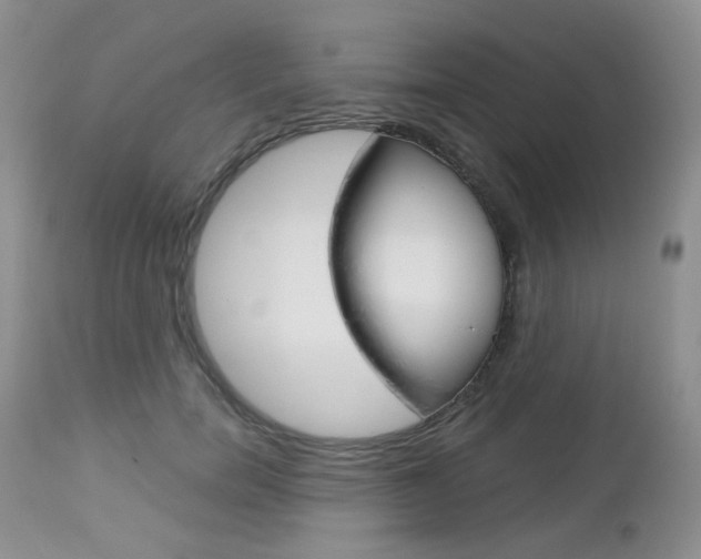 X0000113100750200908280951