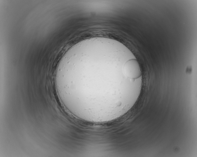 X0000113100751200908280951